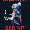 Valorant Point 600 VP